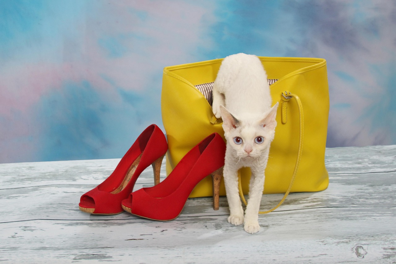 Orange Bag